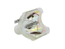Zamienna bańka do SANYO POA-LMP139