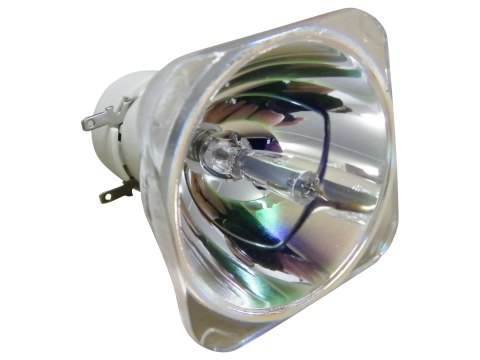 Oryginalna bańka PHILIPS do OPTOMA SP.70701GC01 BL-FP260C