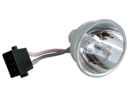 Oryginalna bańka PHOENIX SHP113 DC