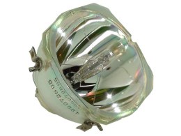 Oryginalna bańka OSRAM do LIESEGANG ddv2300