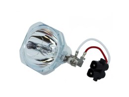 Oryginalna bańka PHOENIX do Infocus IN65W C250 C310 C315 IN35 IN36 IN37 IN67 LPX8 X8