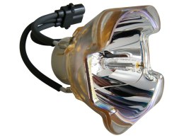 Oryginalna bańka USHIO do Sanyo PDG-DWL2500 PDG-DXL2000 PLC-DWL2500 PLC-DXL2500 DWL2500 DXL2000