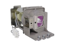 Lampa do projektora Optoma DS311 DS331 H181X H111 S310 S311 W311 X310 oryg bańka